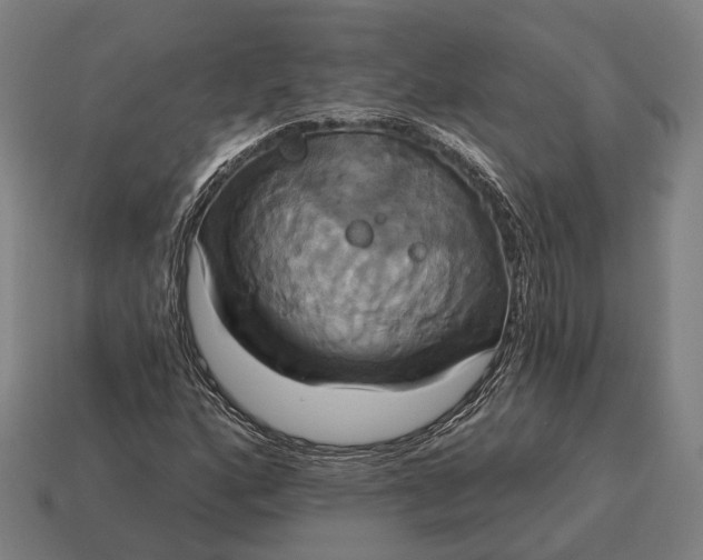 X0000115091160200911101518