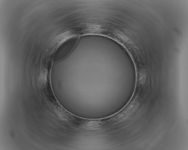 X0000115091161200911101518