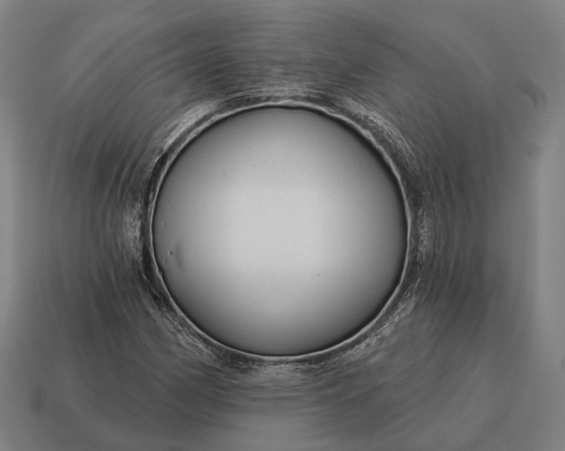 X0000115091162200911101518