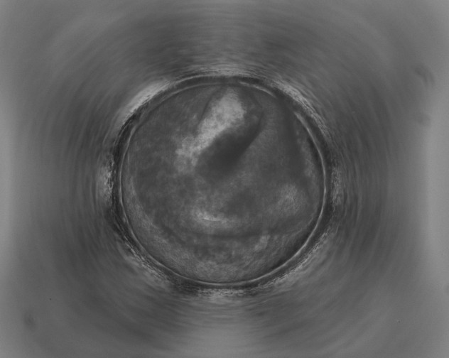 X0000115091163200911101518