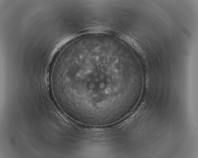X0000115091164200911101518