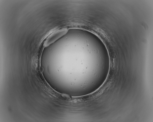 X0000115091165200911101517