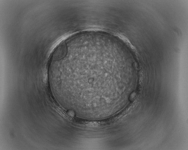 X0000115091167200911101517