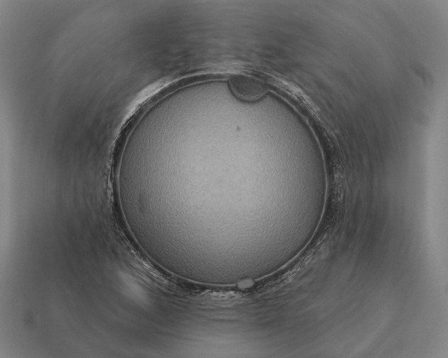 X0000115091168200911101517