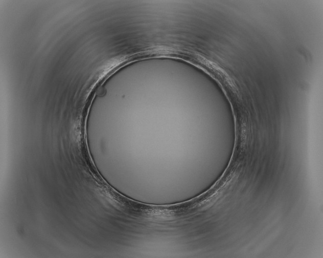 X0000115091170200911101517