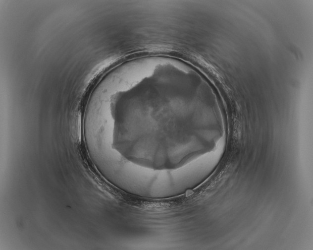 X0000115091171200911101517