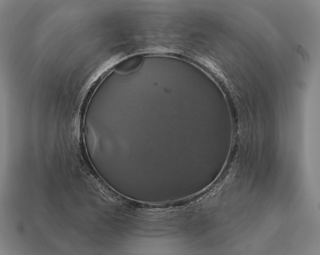 X0000115091173200911101517
