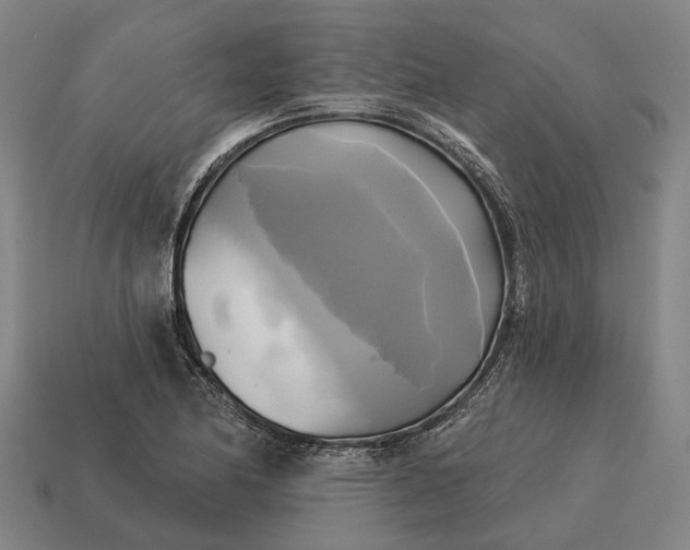X0000115091174200911101517