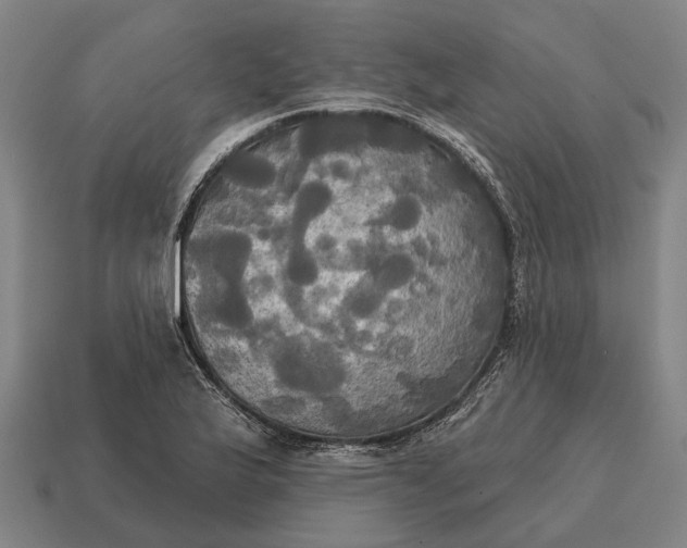 X0000115091175200911101517
