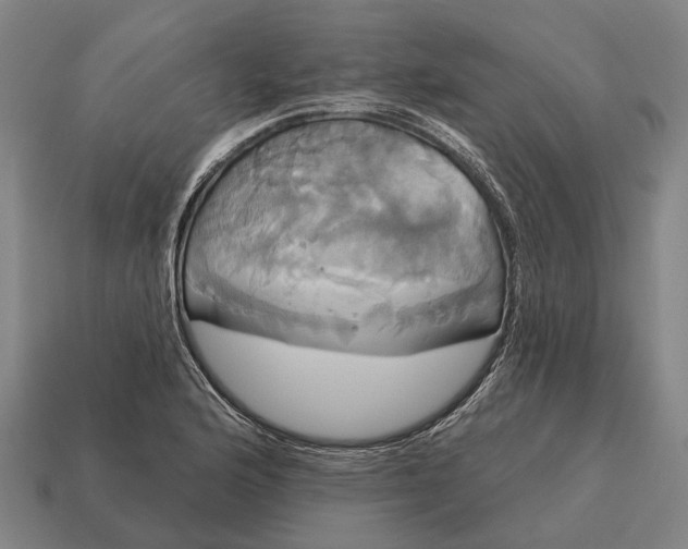 X0000115091176200911101517