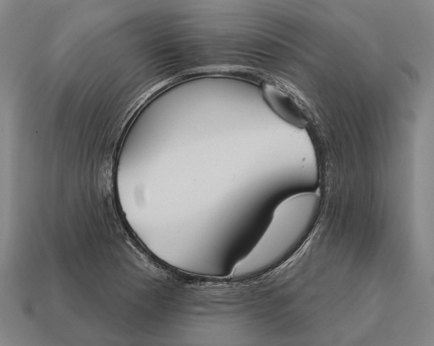 X0000115091177200911101517