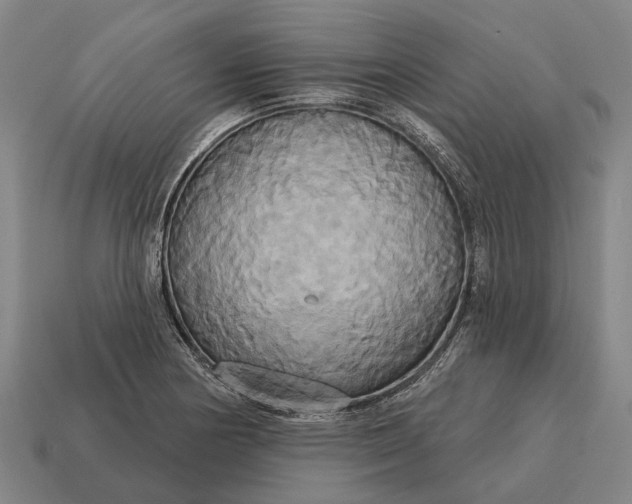X0000115091178200911101517