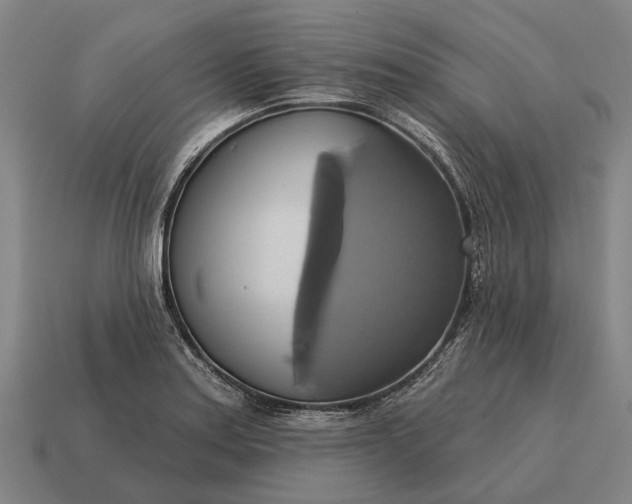 X0000115091179200911101517
