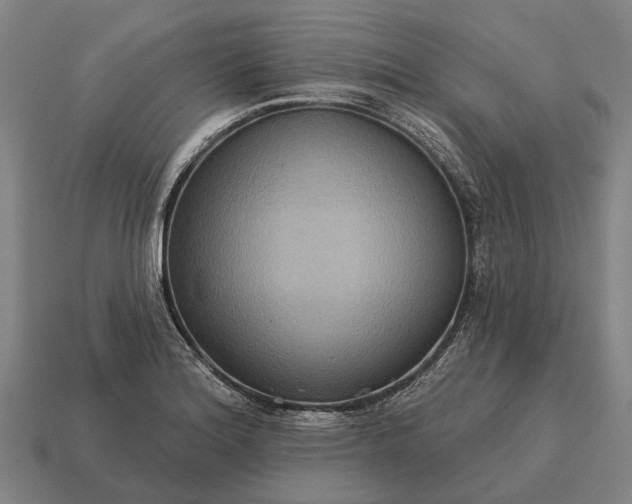 X0000115091180200911101517