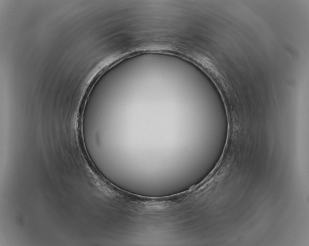 X0000115091181200911101517