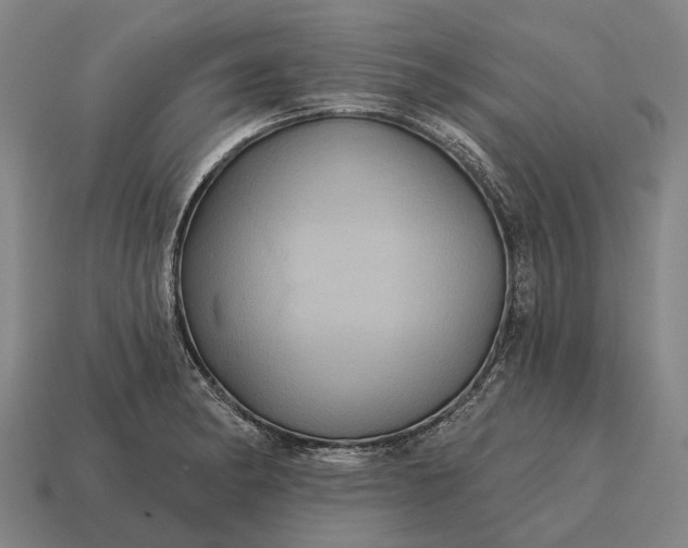 X0000115091182200911101517