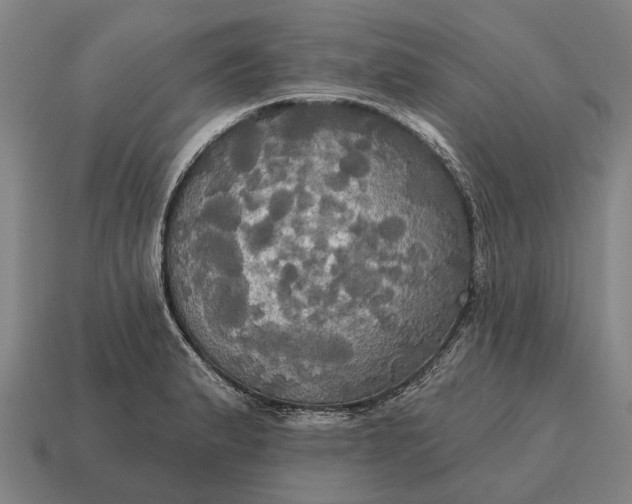 X0000115091183200911101517