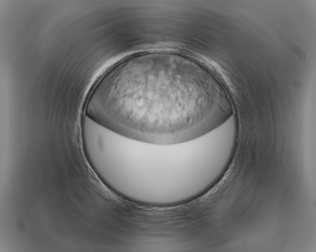 X0000115091184200911101517