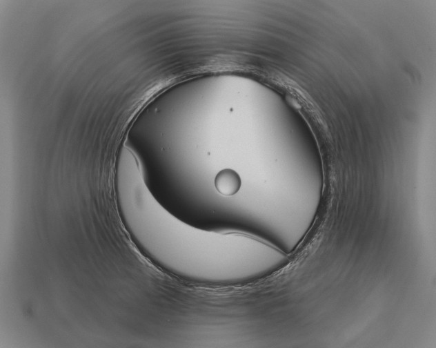 X0000115091185200911101517