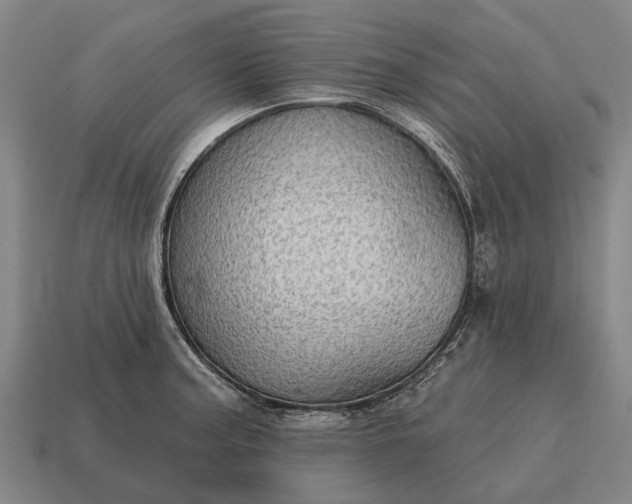 X0000115091187200911101517
