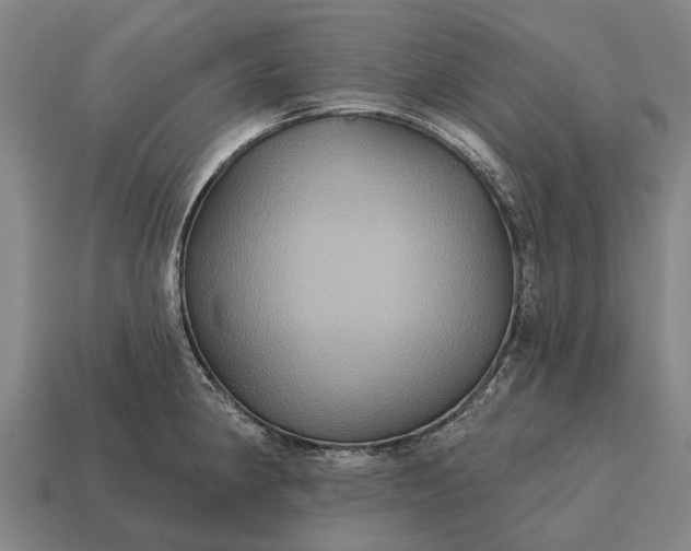 X0000115091190200911101517