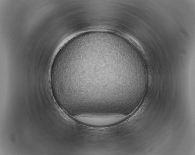 X0000115091192200911101517