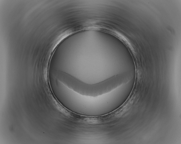 X0000115091194200911101517