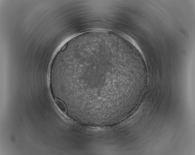 X0000115091195200911101517