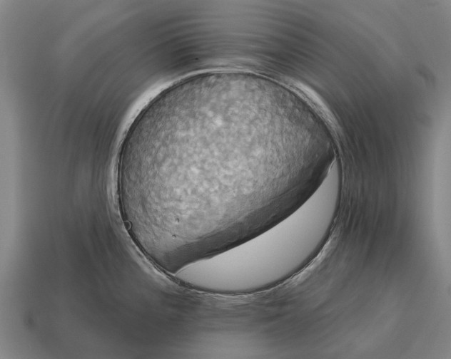 X0000115091196200911101517