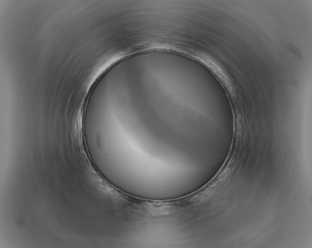 X0000115091198200911101517