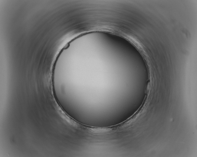 X0000115091200200911101517