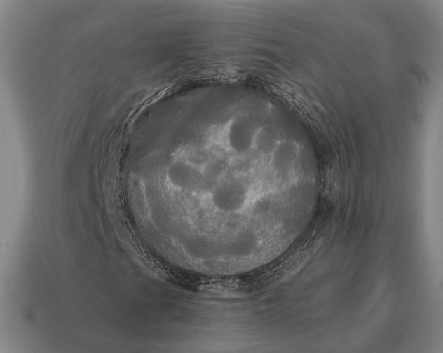 X0000115091201200911101516
