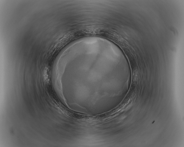 X0000115091202200911101516