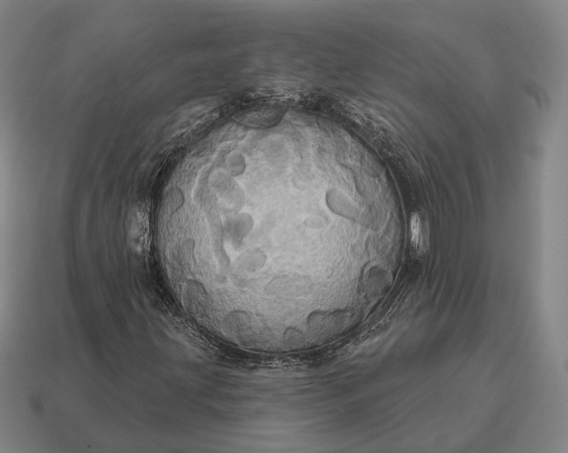 X0000115091203200911101516