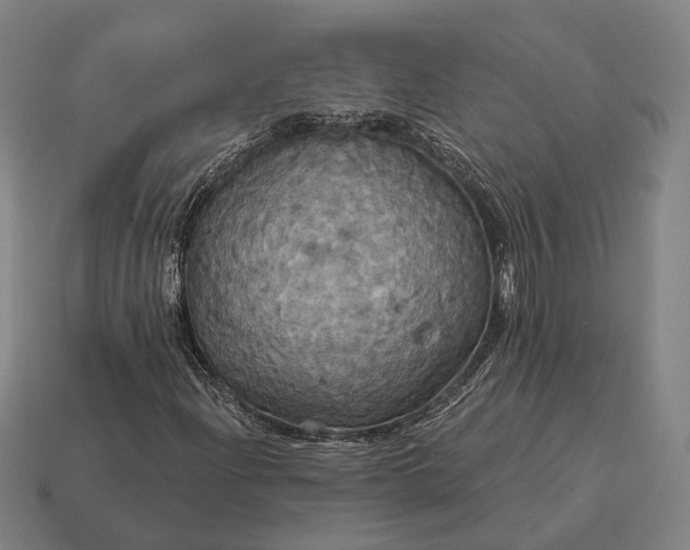 X0000115091204200911101516