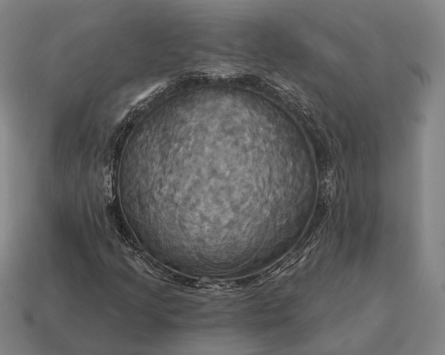 X0000115091205200911101516