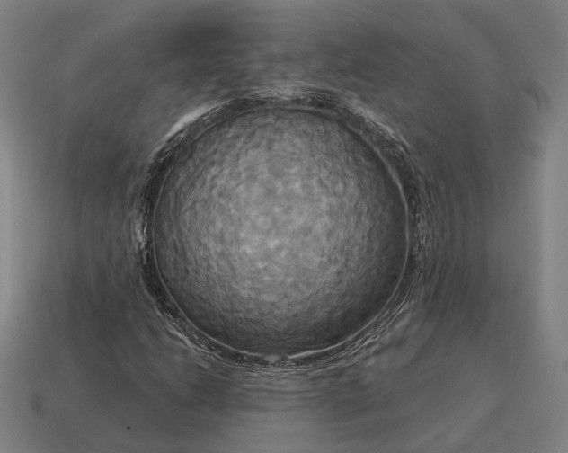 X0000115091206200911101516