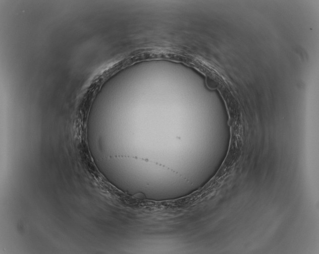 X0000115091207200911101517