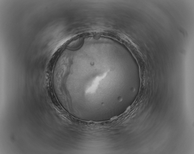 X0000115091208200911101517