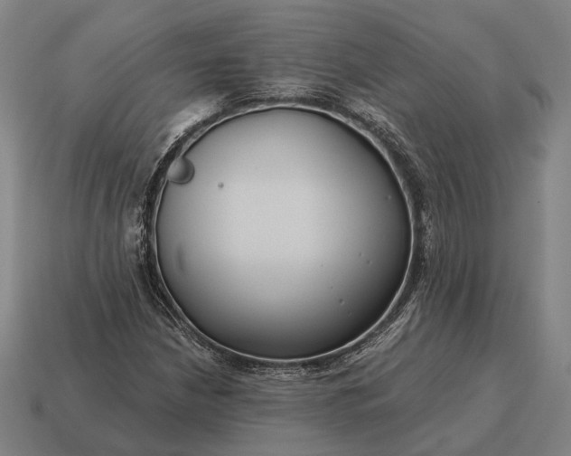X0000115091210200911101517