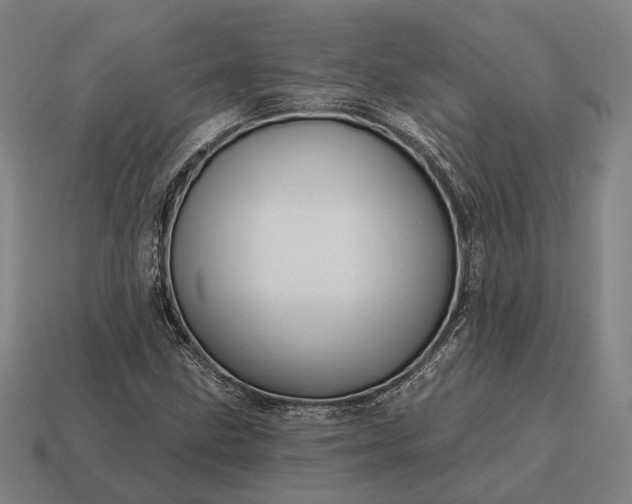 X0000115091211200911101517
