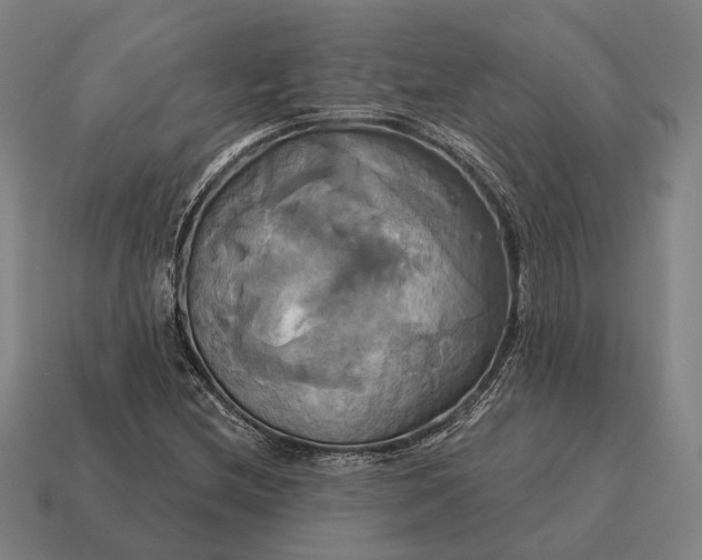 X0000115091212200911101517