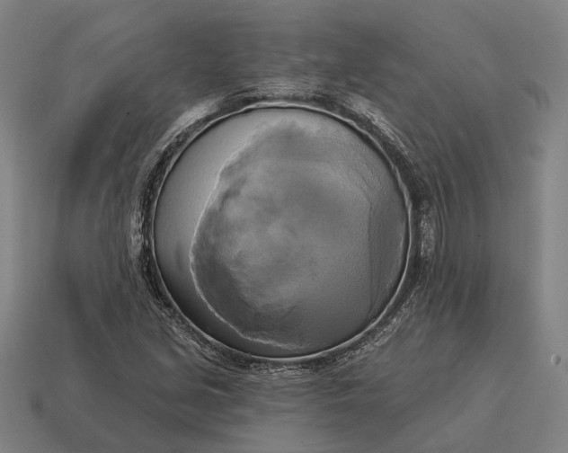 X0000115091213200911101517