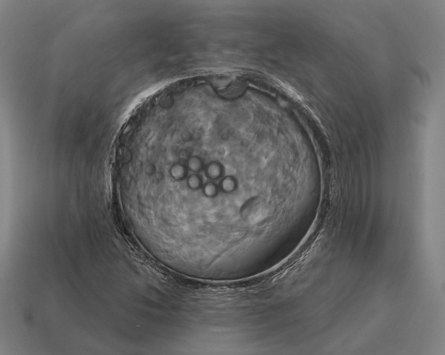 X0000115091214200911101517