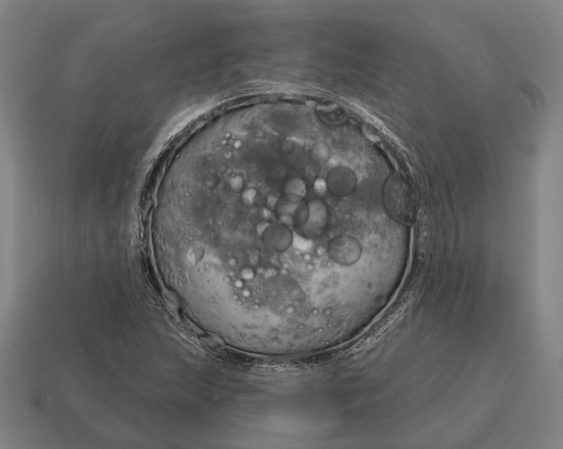 X0000115091215200911101517