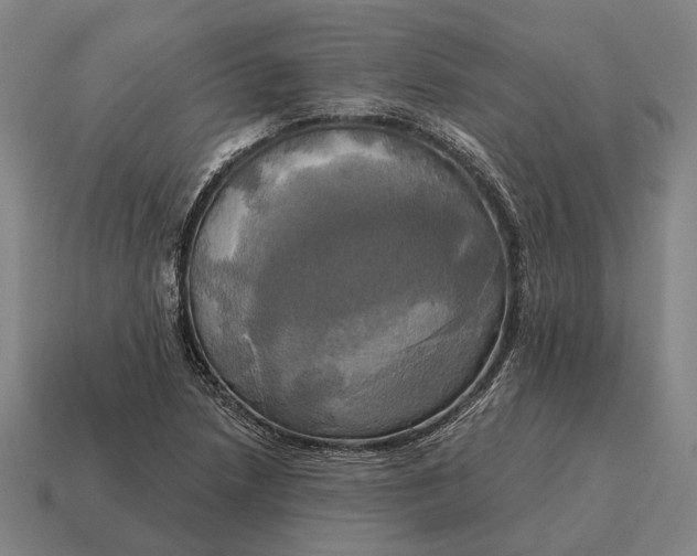 X0000115091218200911101517