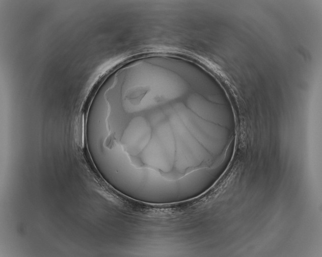 X0000115091223200911101517