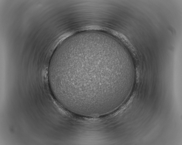 X0000115091225200911101517