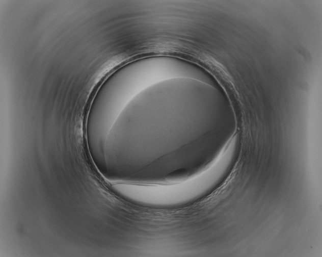 X0000115091226200911101517