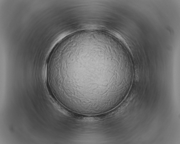 X0000115091227200911101517